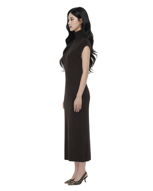 Wool Turtleneck Sleeveless Knit Maxi Dress